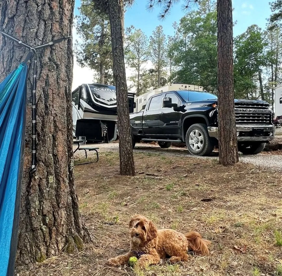 Truck and camper set up at a shaded campsite with a dog resting nearby